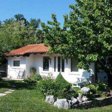Holiday Home Slavi Vipava Ngoại thất bức ảnh