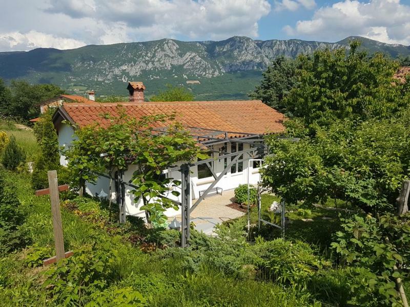 Holiday Home Slavi Vipava Ngoại thất bức ảnh